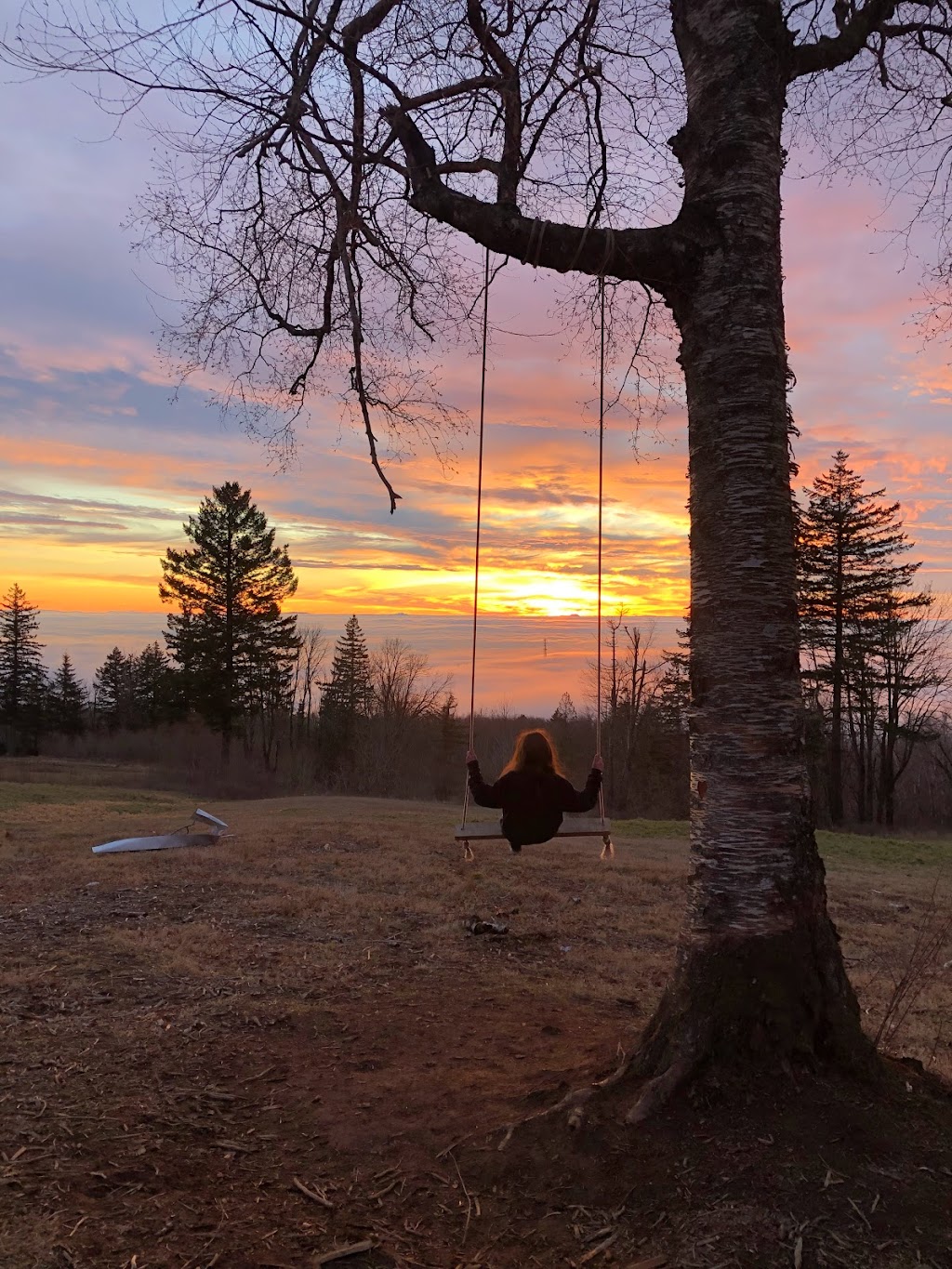 Sunset Swing | point of interest | Harvest Drive, Abbotsford, BC V3G 1L2, Canada | 6048540246 OR +1 604-854-0246