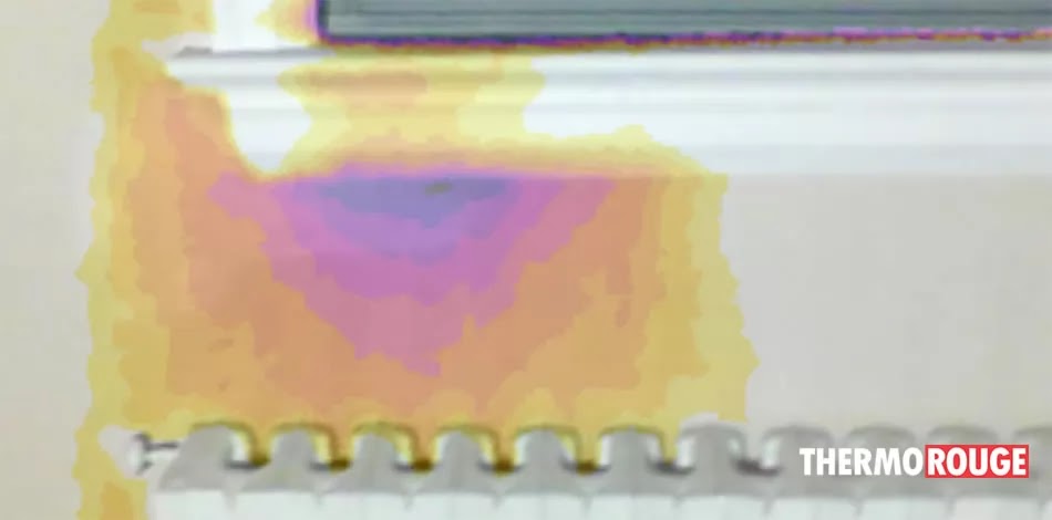 ThermoRouge - Thermographie | 217 Rue Albert, Cowansville, QC J2K 2W5, Canada | Phone: (450) 204-0030