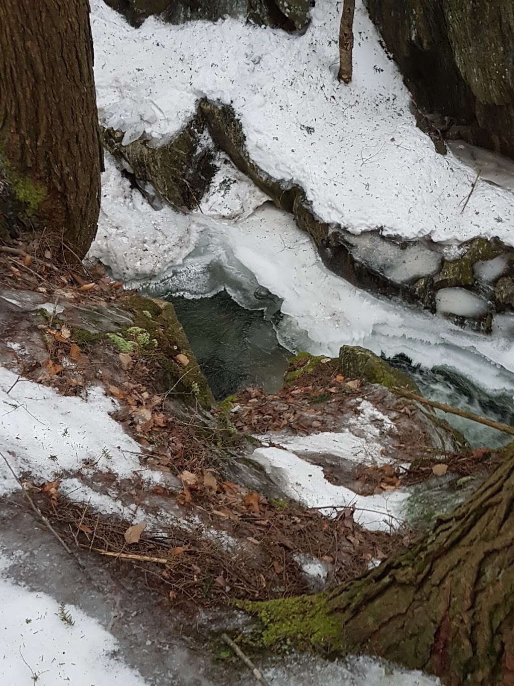 Sentier Mont Écho | Chemin de la Falaise, Sutton, QC J0E 2K0, Canada