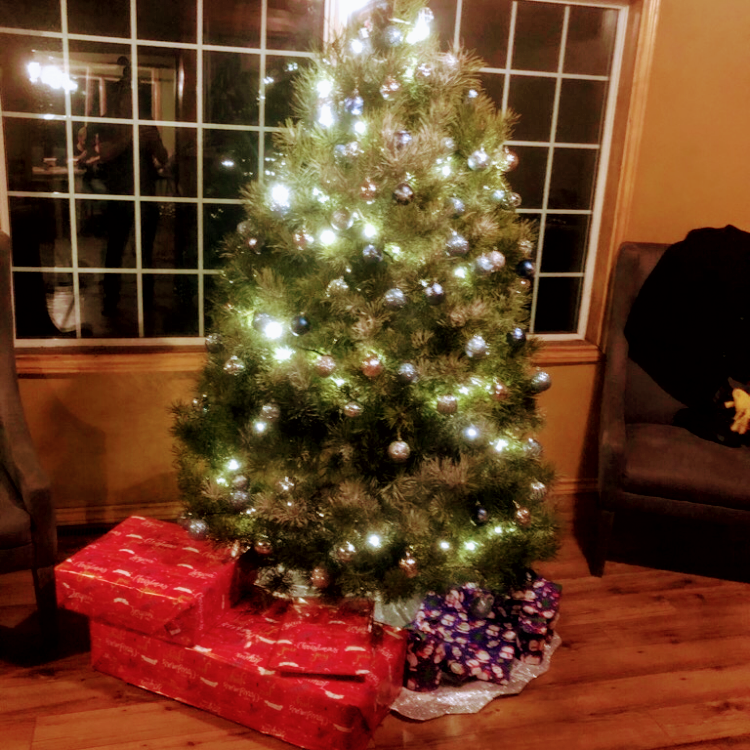 Hill Haven Christmas Trees | Jackson Lake Provincial Rd. 352 South East on Rural Rd. 59 North Gate number 58142 NE28, 10 12W, Sidney, MB R0H 1L0, Canada | Phone: (204) 466-2654