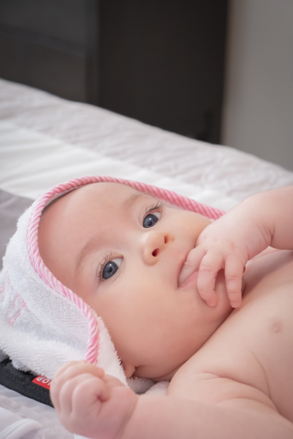 Mpulse photography | 42 Hodgson Rd, Bradford, ON L3Z 0V5, Canada | Phone: (416) 881-1858