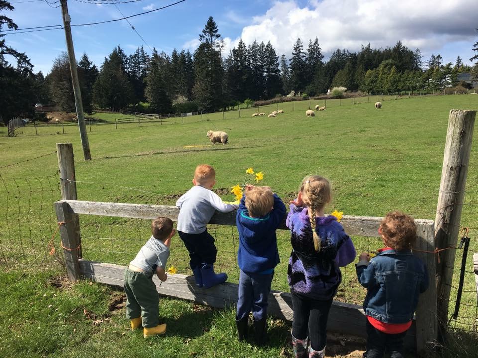 Painted Turtle Early Childcare Centre | 4526 William Head Rd, Victoria, BC V9C 3Y6, Canada | Phone: (250) 882-9794