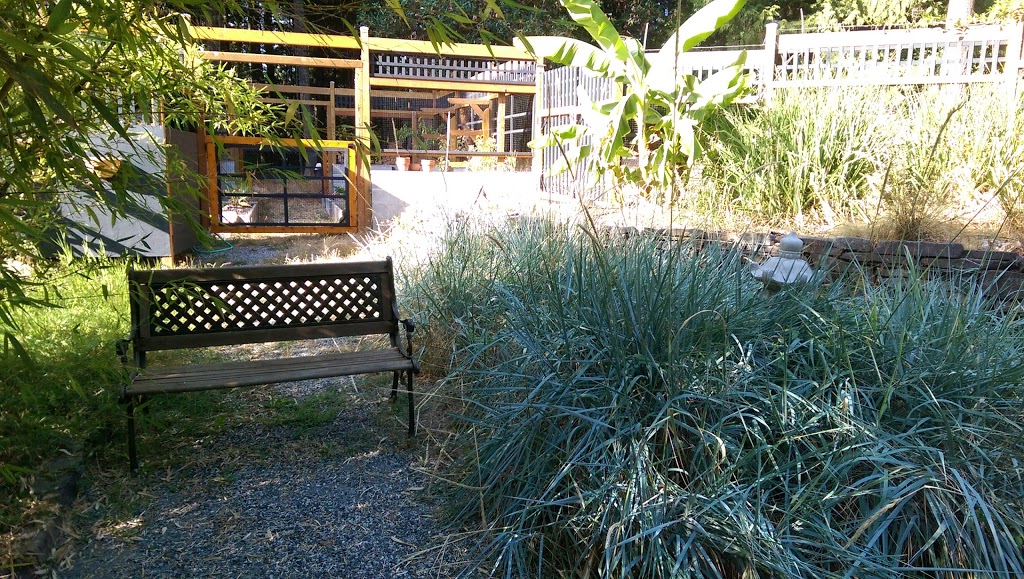 Salt Spring Carriage House B&B | 144 Fairway Dr, Salt Spring Island, BC V8K 1M6, Canada | Phone: (250) 538-8142
