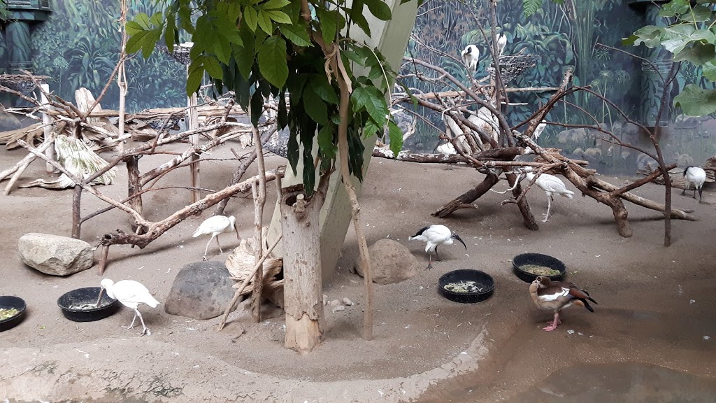 African Rainforest Pavilion | 2000 Meadowvale Rd, Scarborough, ON M1B 5K7, Canada | Phone: (416) 392-5929