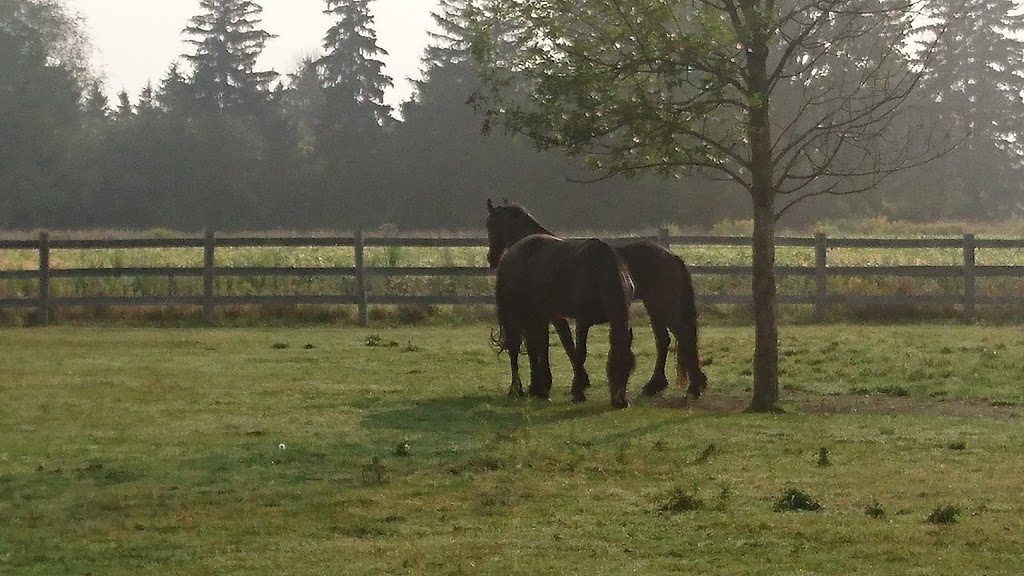 Kraak Farms | 344071 Ebenezer Rd, Mount Elgin, ON N0J 1N0, Canada | Phone: (519) 485-3568