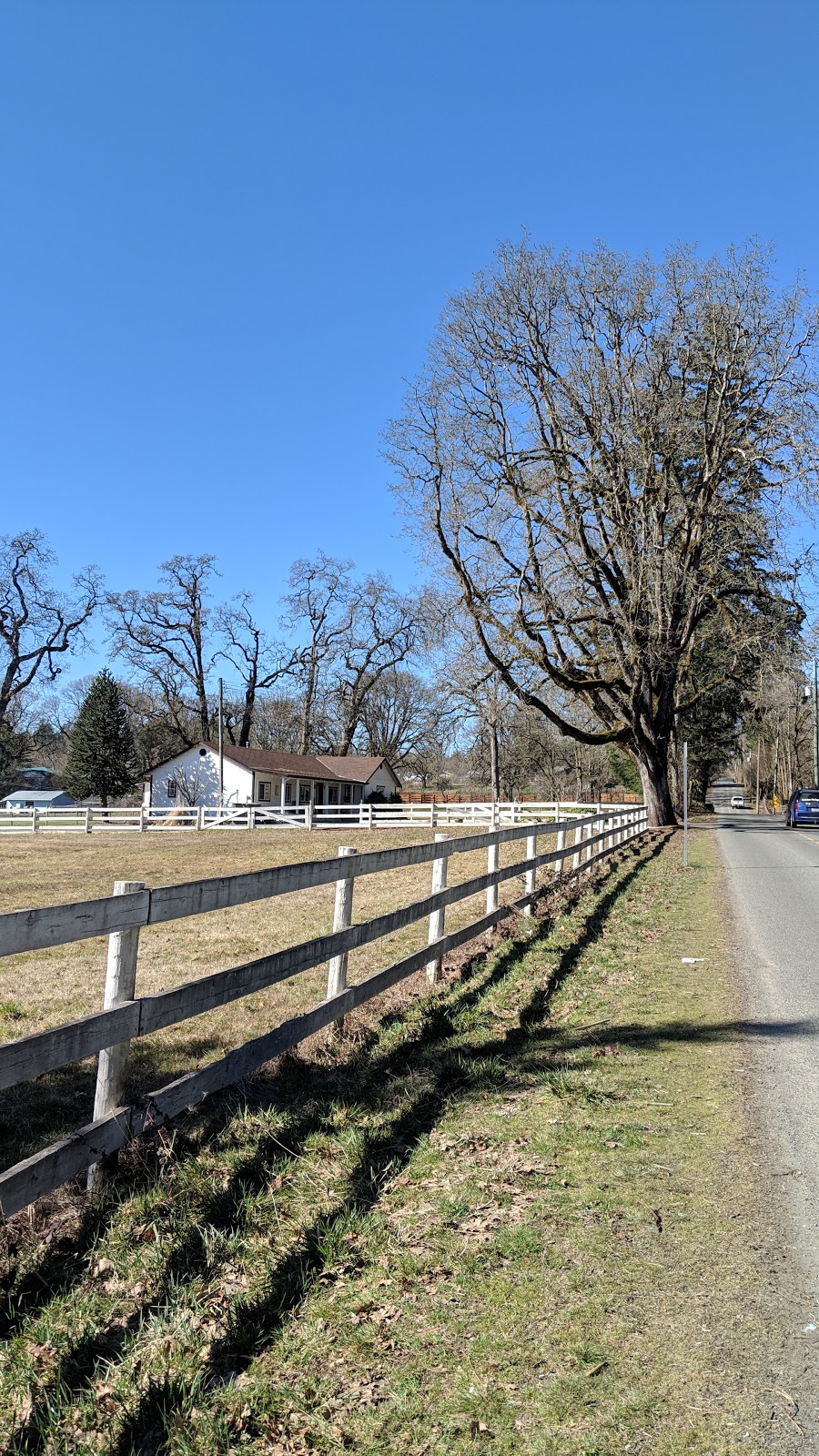 Misty Acres Farm | 3436 Drinkwater Rd, Duncan, BC V9L 5Z2, Canada | Phone: (250) 746-8988