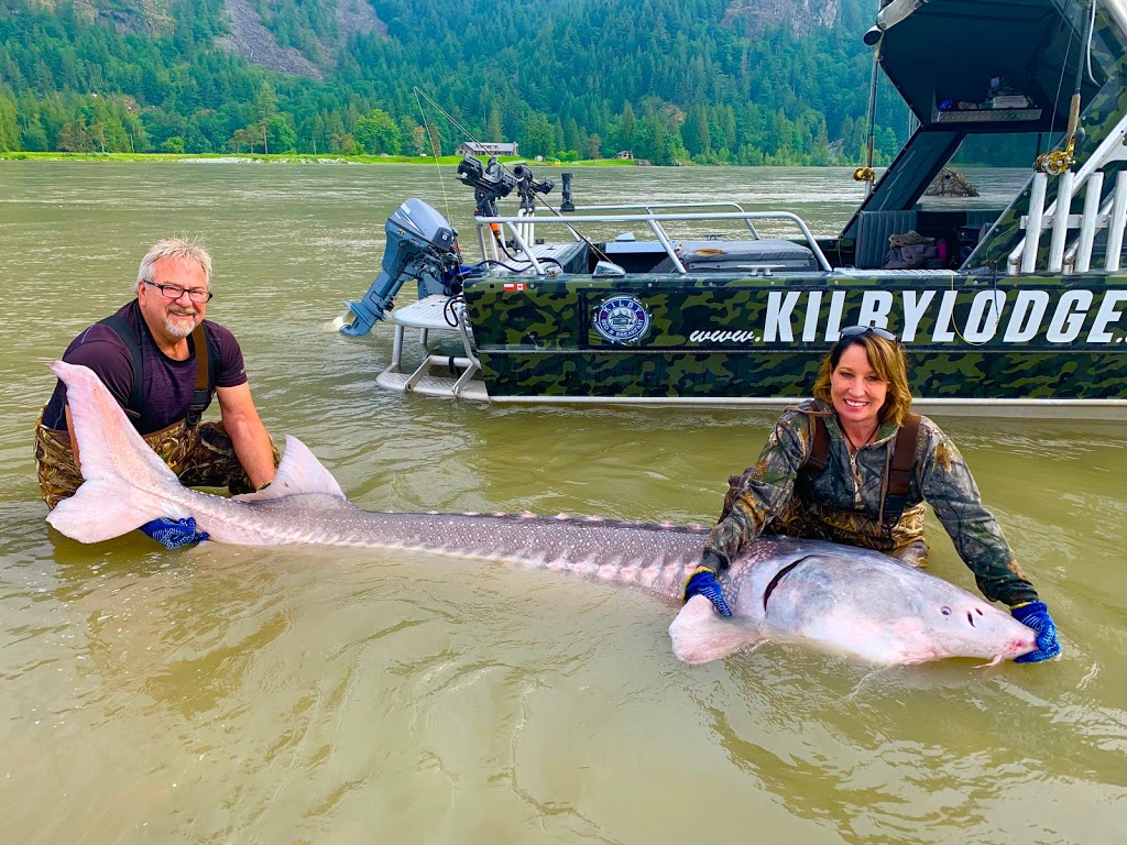 Kilbylodge-Sturgeon Adventures | 76 Kilby Rd, Agassiz, BC V0M 1A1, Canada | Phone: (604) 316-3988