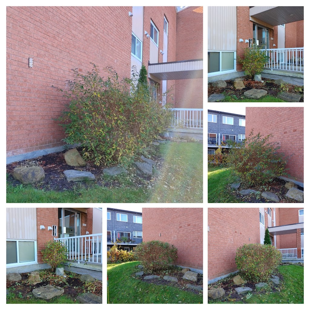 Red Bears Lawn Care | 4925 Rue de Nanterre, Pierrefonds-Roxboro, QC H9J 1W2, Canada | Phone: (514) 827-4855
