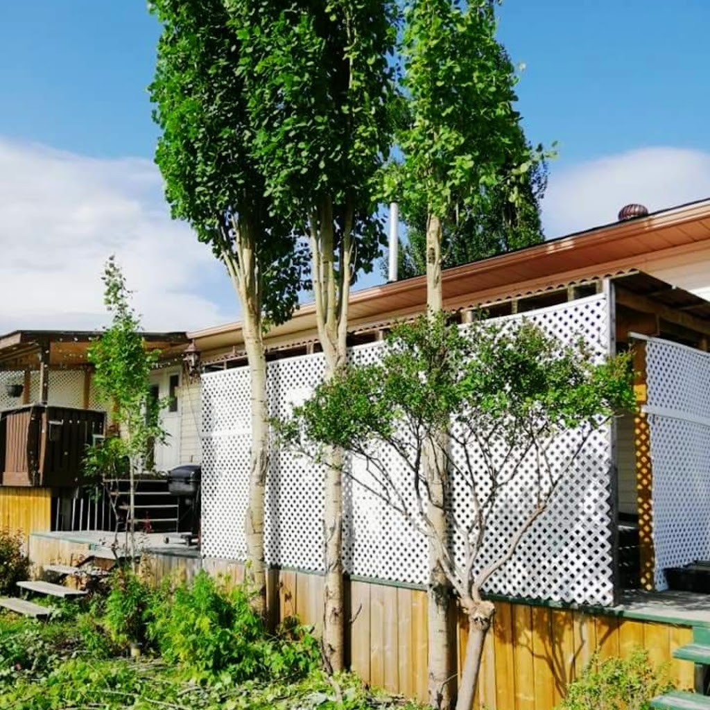 LETS GREEN | Box 851, 1807 20 St, Bowden, AB T0M 0K0, Canada | Phone: (403) 438-4006