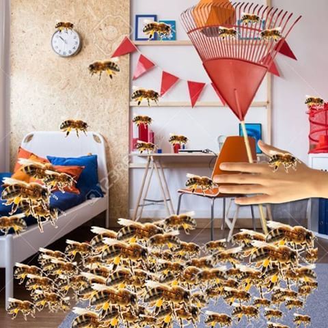 Alberta Beekeepers Commission | 11434 168 St NW #102, Edmonton, AB T5M 3T9, Canada | Phone: (780) 489-6949