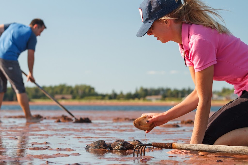 By-The-Sea-Kayaking & Adventures | 1 Water St, Victoria, PE C0A 2G0, Canada | Phone: (902) 658-2572