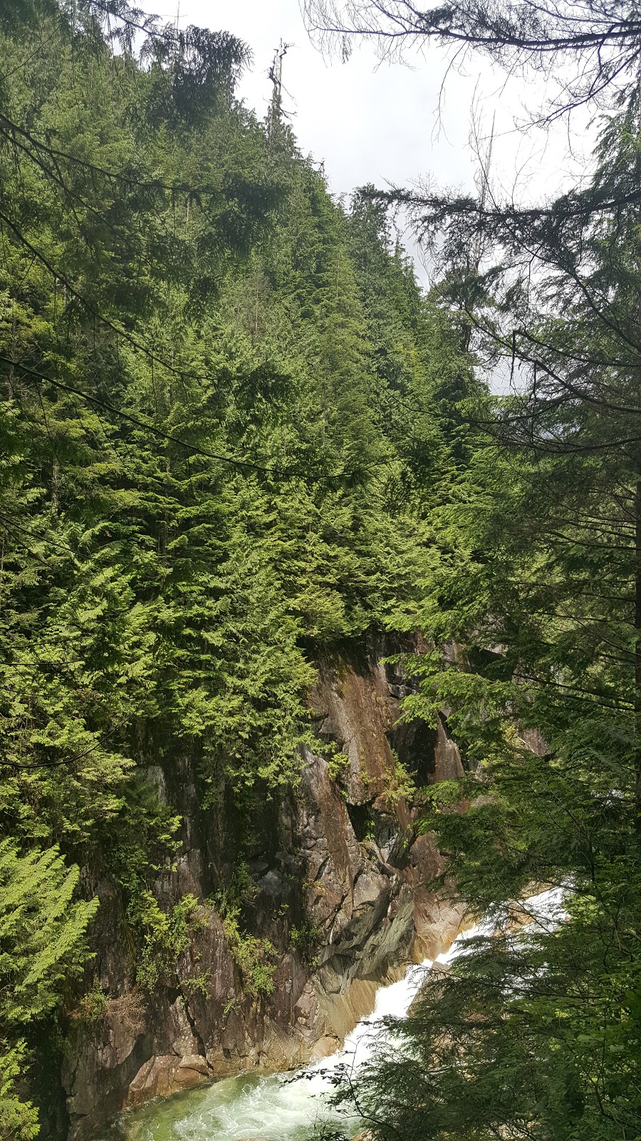 Golden Ears Provincial Park | 24480 Fern Crescent, Maple Ridge, BC V4R 2S1, Canada