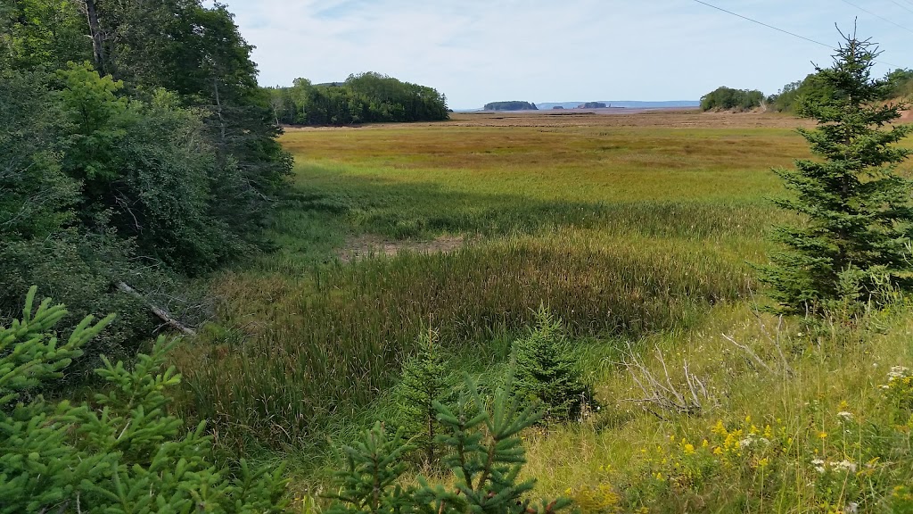 Dianes | 879 Nova Scotia Trunk 2, Five Islands, NS B0M 1K0, Canada | Phone: (902) 254-3190
