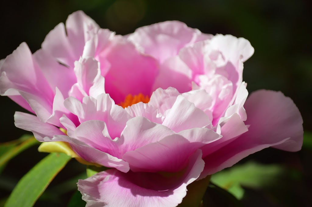 Hidden Spring Farm | 2883 9 Line N, Coldwater, ON L0K 1E0, Canada | Phone: (647) 244-4471