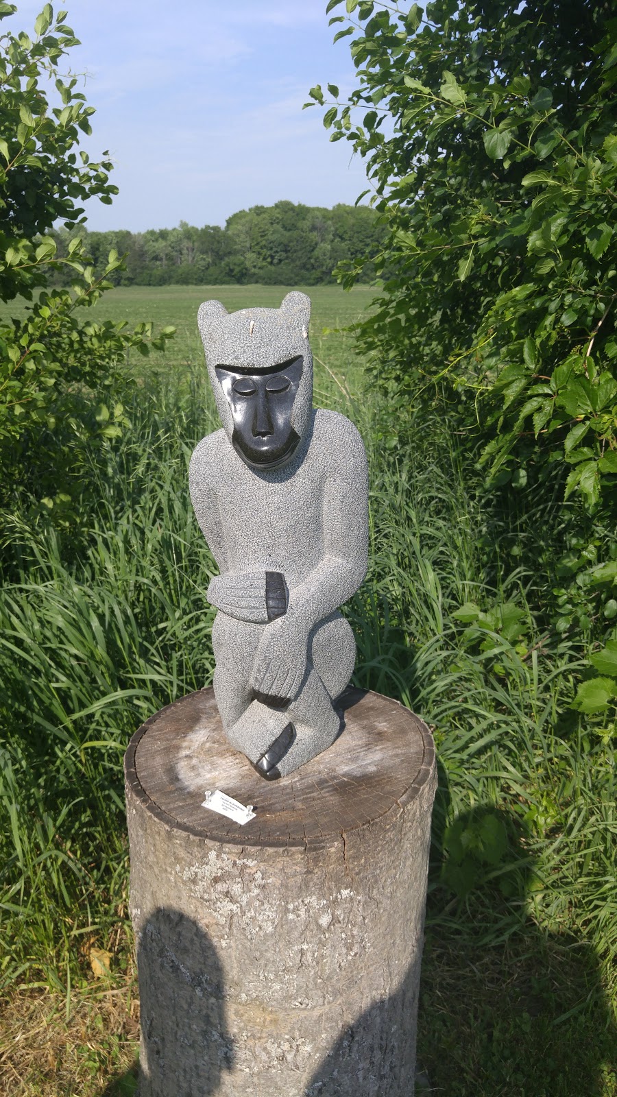 ZimArts Rice Lake Gallery | 855 Second Line Rd, Bailieboro, ON K0L 1B0, Canada | Phone: (705) 939-6144