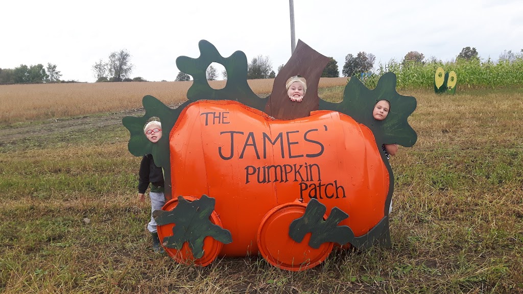 Geobern Farm - The James | 2634 Rosetta Rd, Lanark, ON K0G 1K0, Canada | Phone: (613) 256-1585