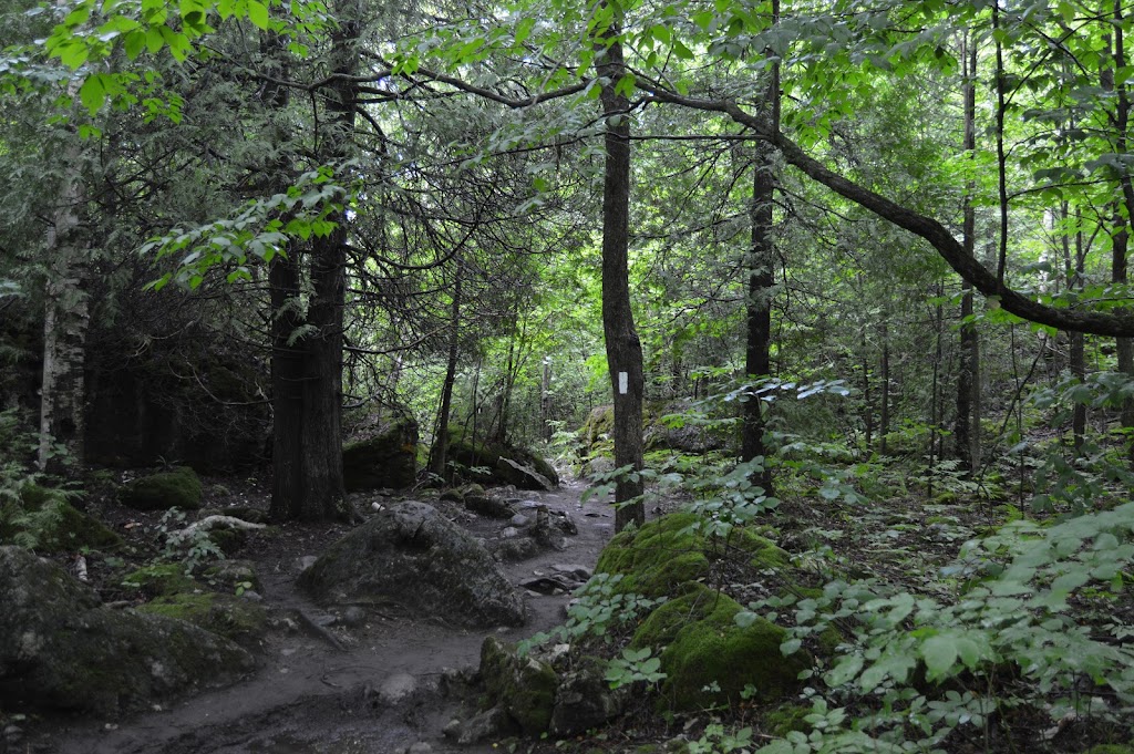 Lion’s Head Lookout Trail Parking | McCurdy Drive Parkette, Bruce Trail, Lions Head, ON N0H 1W0, Canada | Phone: (519) 793-3522