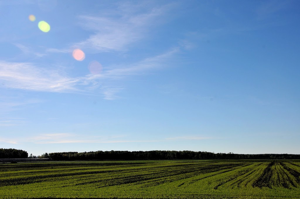 West Park | Roches Point, ON L0E 1P0, Canada
