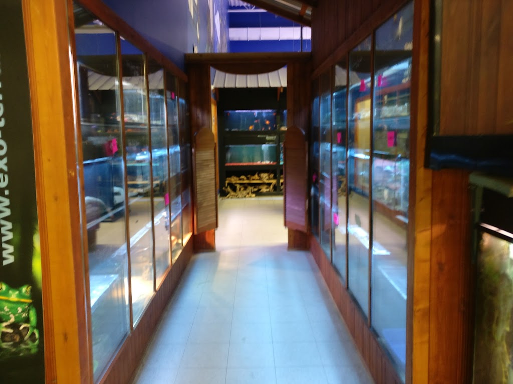 Animalerie Jonas | 1730 Bd Talbot, Chicoutimi, QC G7H 7Z3, Canada | Phone: (418) 693-1994