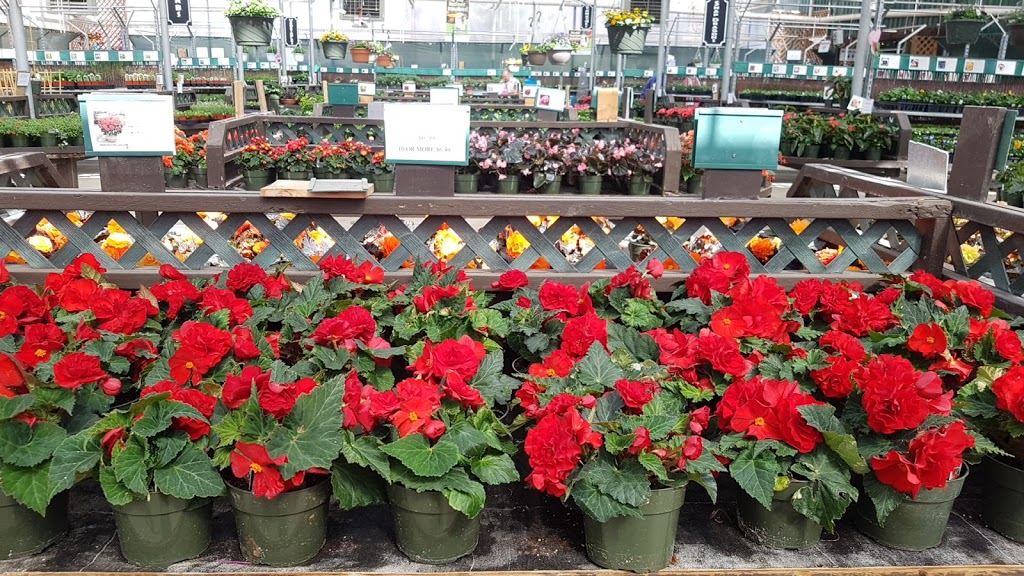 Root Seller, The | 16735 Zaychuk Rd NW, Edmonton, AB T5Y 6G5, Canada | Phone: (780) 473-2588