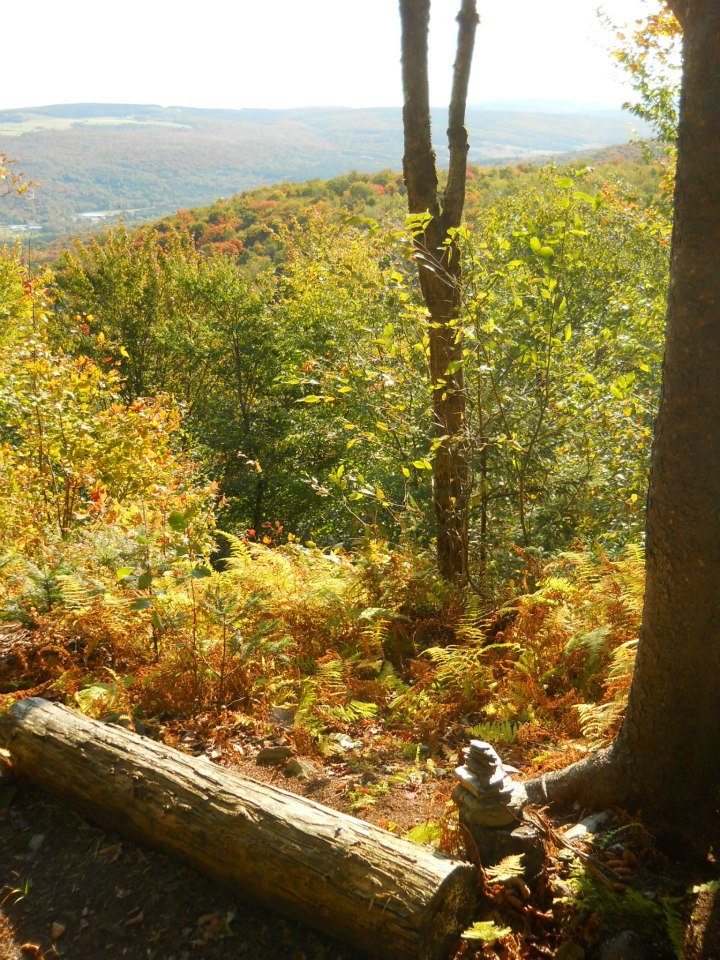 Sentier des Trotteurs | 1425 QC-263, Sainte-Hélène-de-Chester, QC G0P 1H0, Canada | Phone: (819) 604-7651
