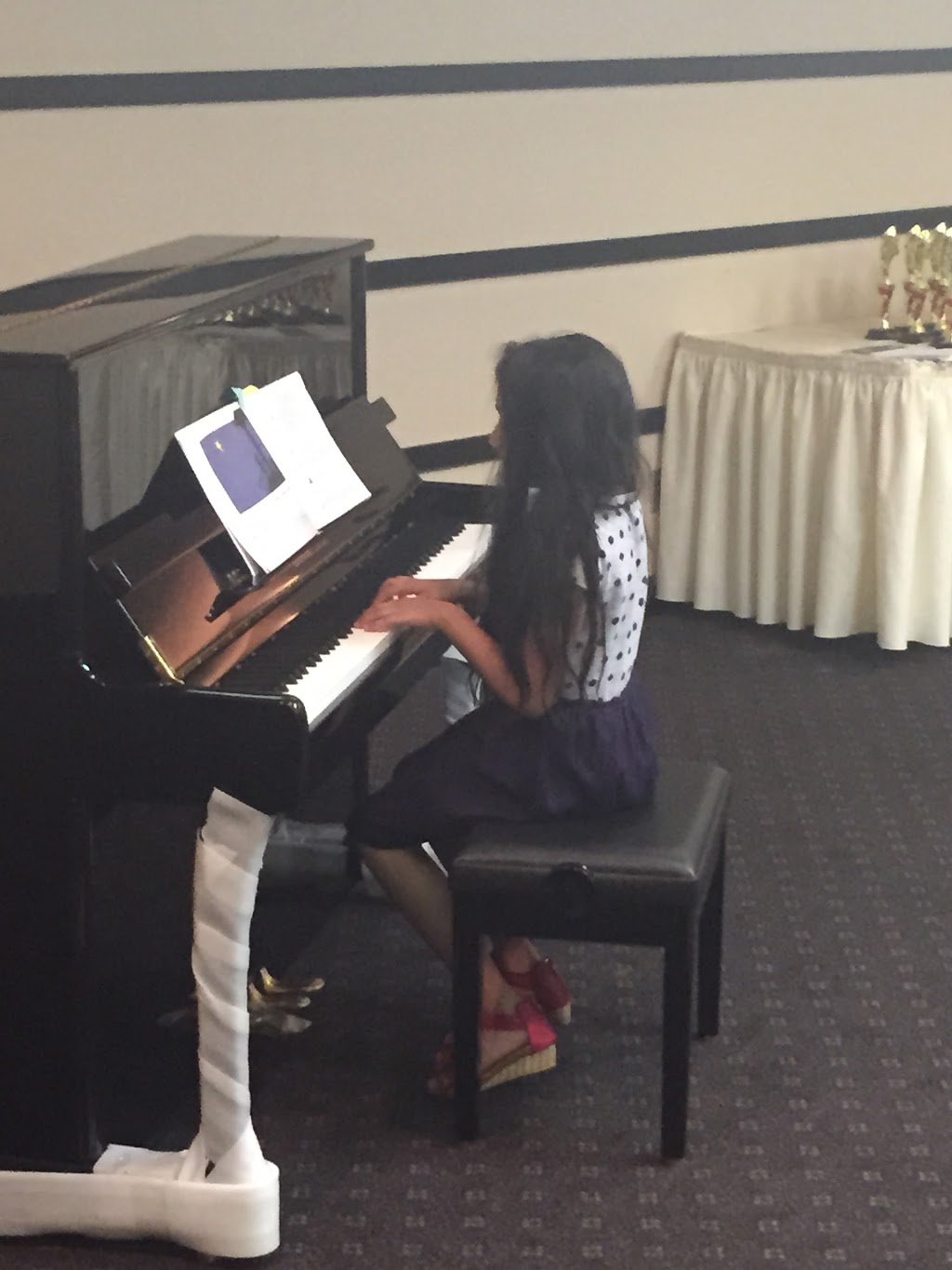 Arcadia Academy of Music | 10625 Creditview Rd # 3C, Brampton, ON L7A 0T4, Canada | Phone: (905) 840-5225