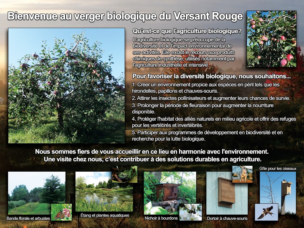 Verger Bio des Sources | 576 4e Rang, Saint-Georges-de-Windsor, QC J0A 1J0, Canada | Phone: (819) 201-2211