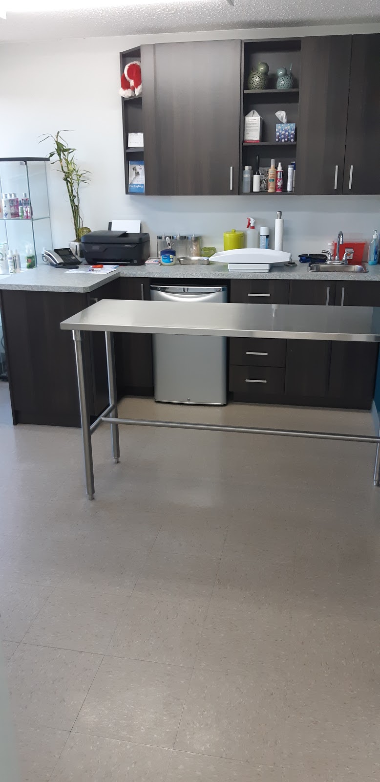 Bureau Vétérinaire Lac-Etchemin | 301 Rue Industrielle Local E, Lac-Etchemin, QC G0R 1S0, Canada | Phone: (418) 625-5551