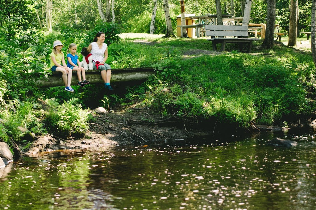 Municipalité de Dosquet | 2A Rue Monseigneur Chouinard, Dosquet, QC G0S 1H0, Canada | Phone: (418) 728-3653