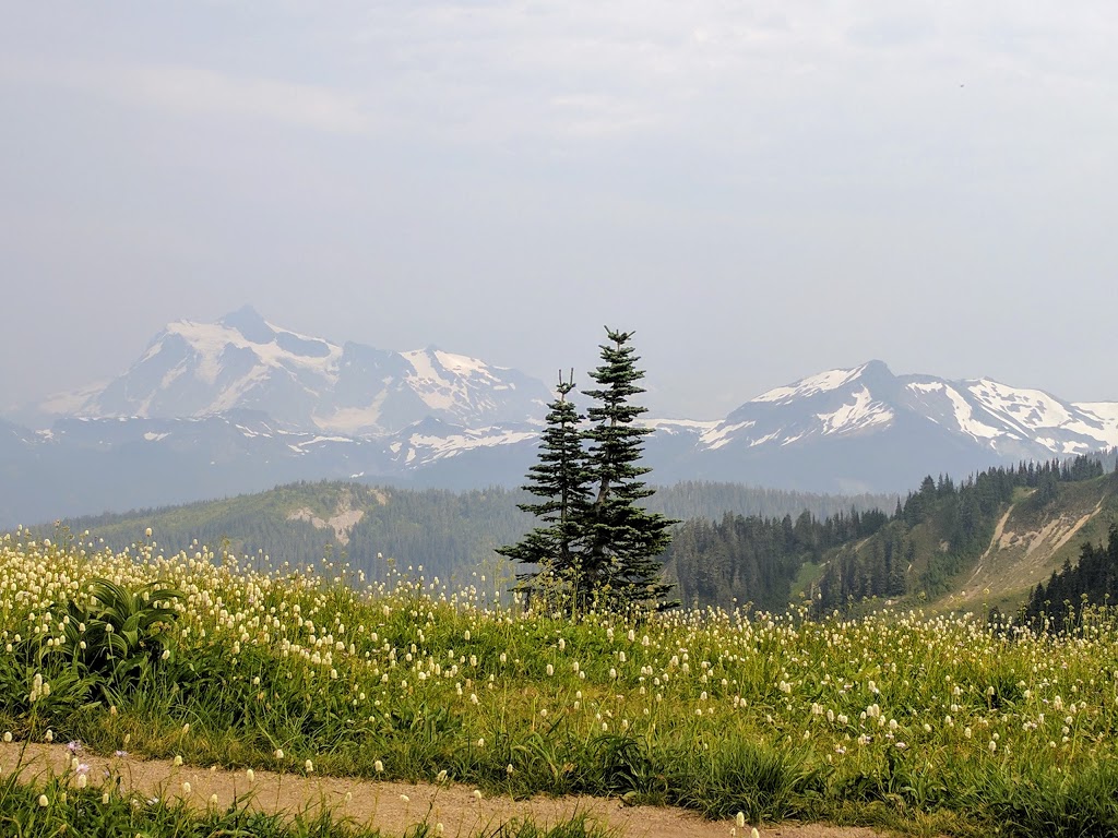 Skyline Divide Trailhead | NF-37, Deming, WA 98244, USA | Phone: (360) 856-5700