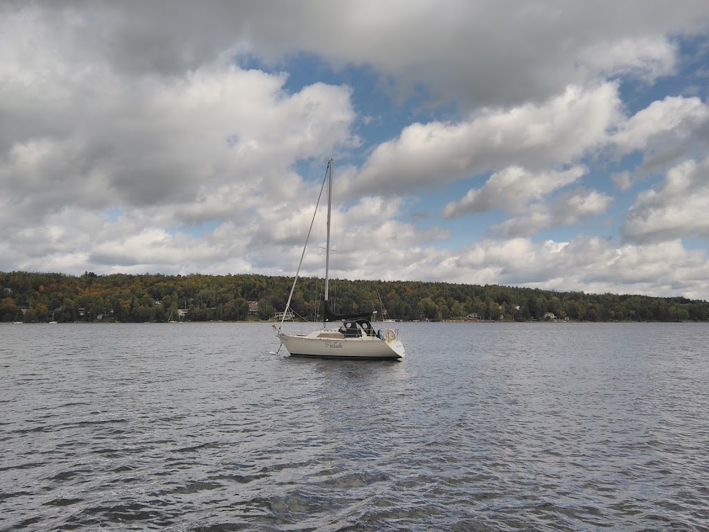 DArbre en Arbre | 435 Chemin Ernest-Martin, Marston, QC G0Y 1G0, Canada | Phone: (819) 583-3965