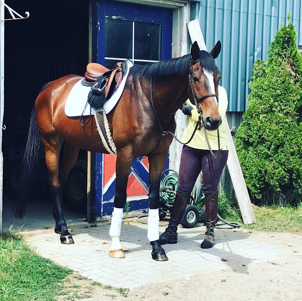 Foxbrook Farm | 1501 Ziska Rd, Bracebridge, ON P1L 1W8, Canada | Phone: (705) 380-5115