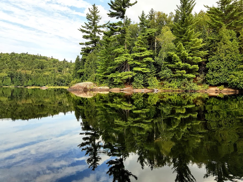 Réserve faunique de Papineau-Labelle | 443 QC-309, Val-des-Bois, QC J0X 3C0, Canada | Phone: (819) 454-2011