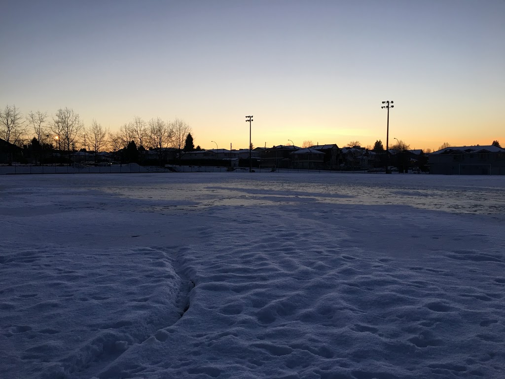 Illuminated All-Weather Field #1 | 81 N Willingdon Ave, Burnaby, BC V5C 5J9, Canada | Phone: (604) 294-7944
