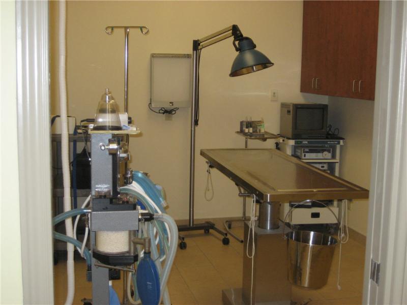 Chapel Hill Veterinary Clinic | 1615 Orléans Blvd, Orléans, ON K1C 7E2, Canada | Phone: (613) 834-5686