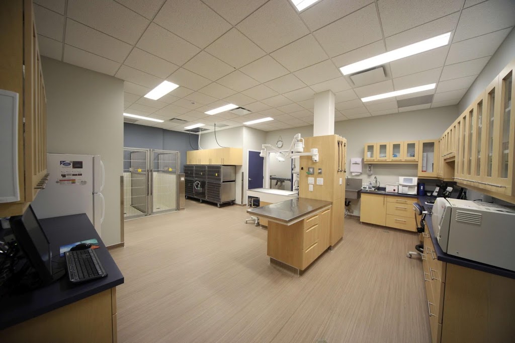 North West Veterinary Dermatology Services - Edmonton | 105 - 975 St. Albert Trail, St. Albert, AB T8N 4K6, Canada | Phone: (780) 470-5100