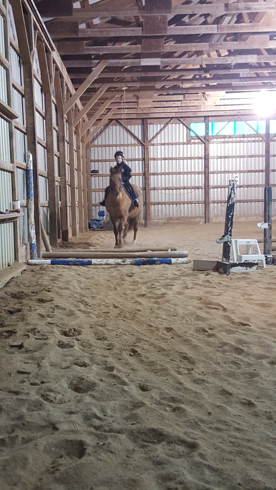 Cedarstone Farm | Concession Rd 2 WGR, West Grey, ON N0G, Canada | Phone: (519) 369-5971