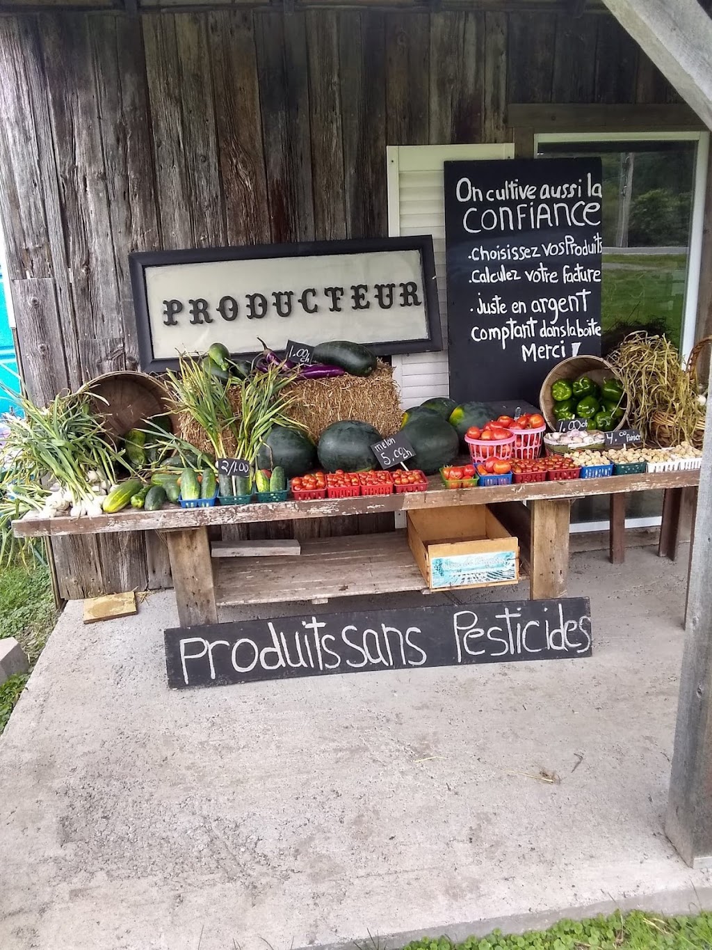 Ferme Pierre Lacroix Manon Dolbec | 1970 Chem. dOka, Oka, QC J0N 1E0, Canada | Phone: (450) 479-8234