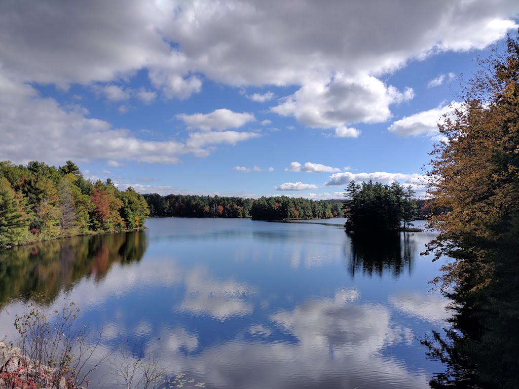 Bala Cranberry Festival | 3060 Muskoka District Road 169, Bala, ON P0C 1A0, Canada | Phone: (705) 762-1564