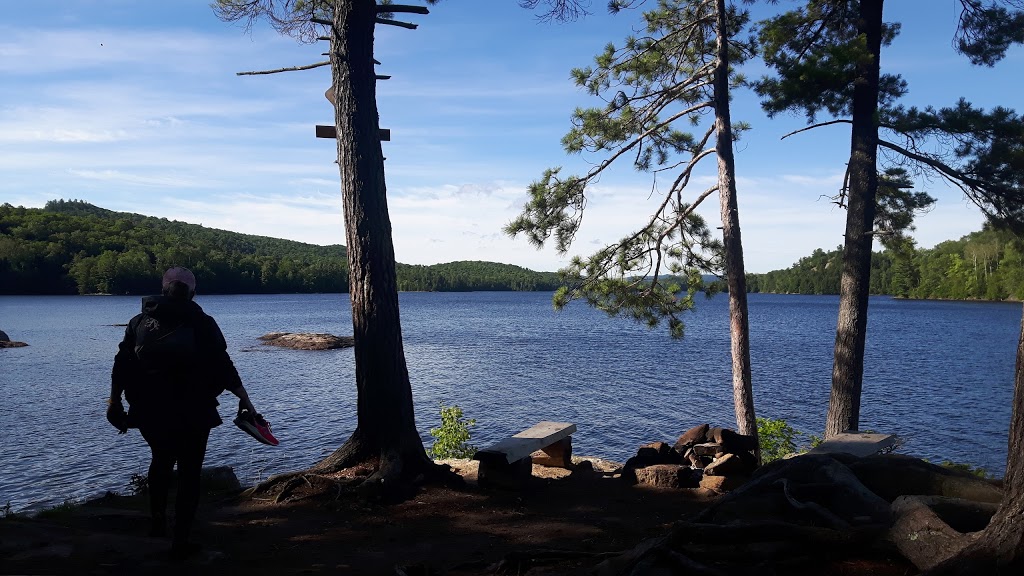 Parc régional du Poisson Blanc | 37 Chemin de la Truite, Notre-Dame-du-Laus, QC J0X 2M0, Canada | Phone: (819) 767-2999
