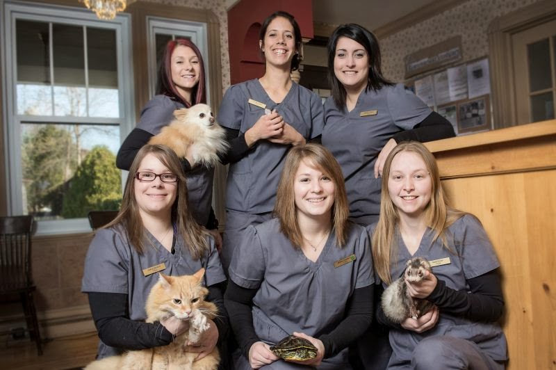 Veterinary Clinic Old Dorion | 204 Avenue Saint-Charles, Vaudreuil-Dorion, QC J7V 2L3, Canada | Phone: (450) 424-6469
