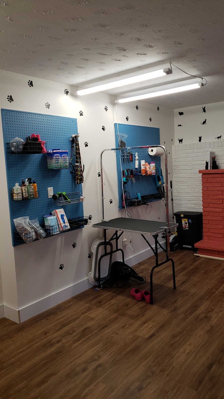 Delite Full Grooming | 22 Renner Ct, Hamilton, ON L8K 6J4, Canada | Phone: (905) 730-8161