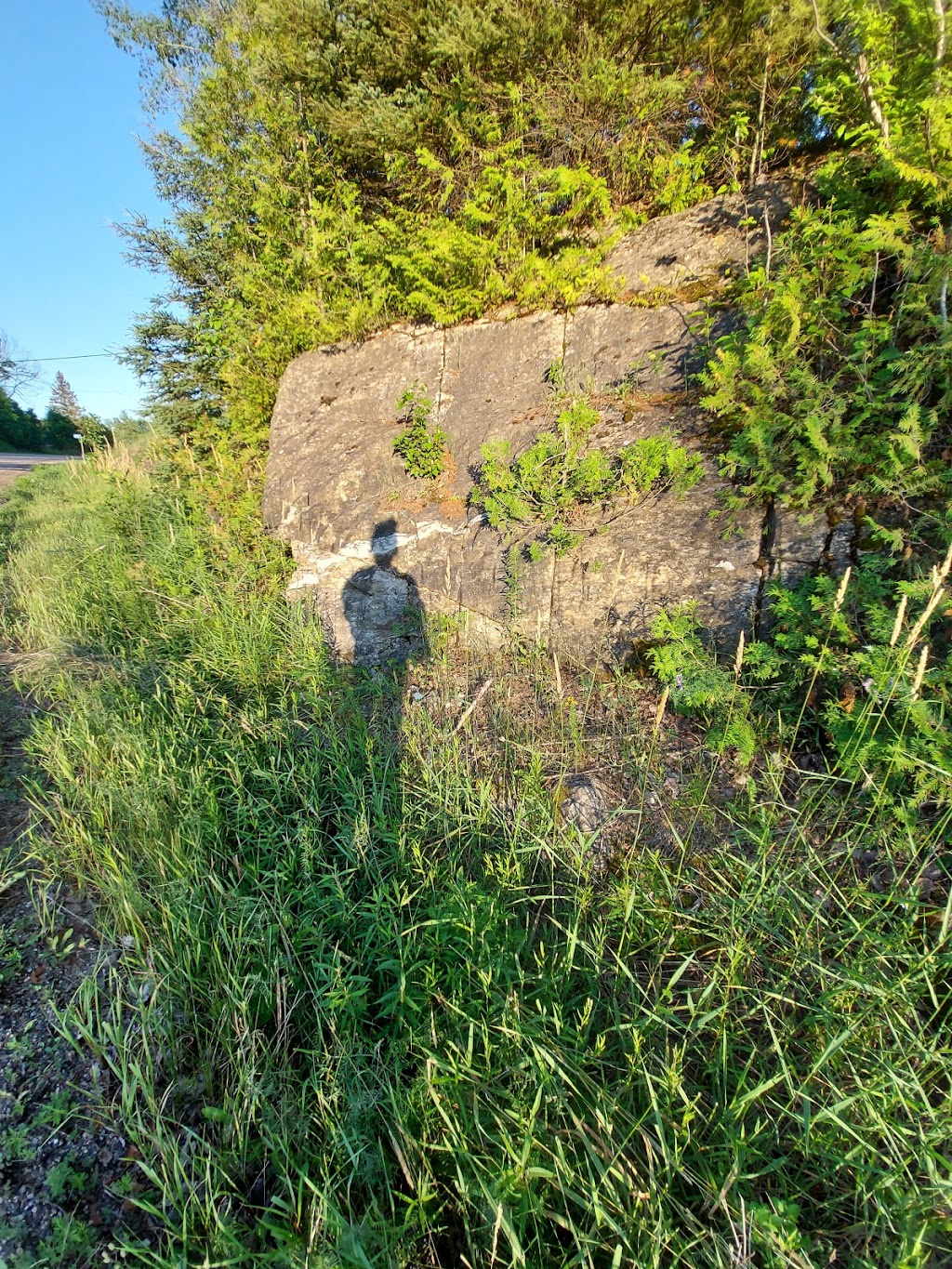 Canadian Shield Gallery | 5948 Ardoch Rd, Ardoch, ON K0H 1C0, Canada | Phone: (613) 206-4868
