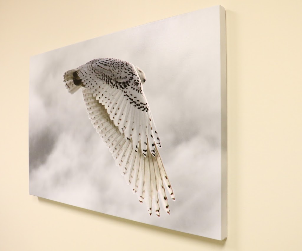 uGalleries - GBH Photography | 6600 Goreway Dr unit f, Mississauga, ON L4V 1S6, Canada | Phone: (647) 221-0857