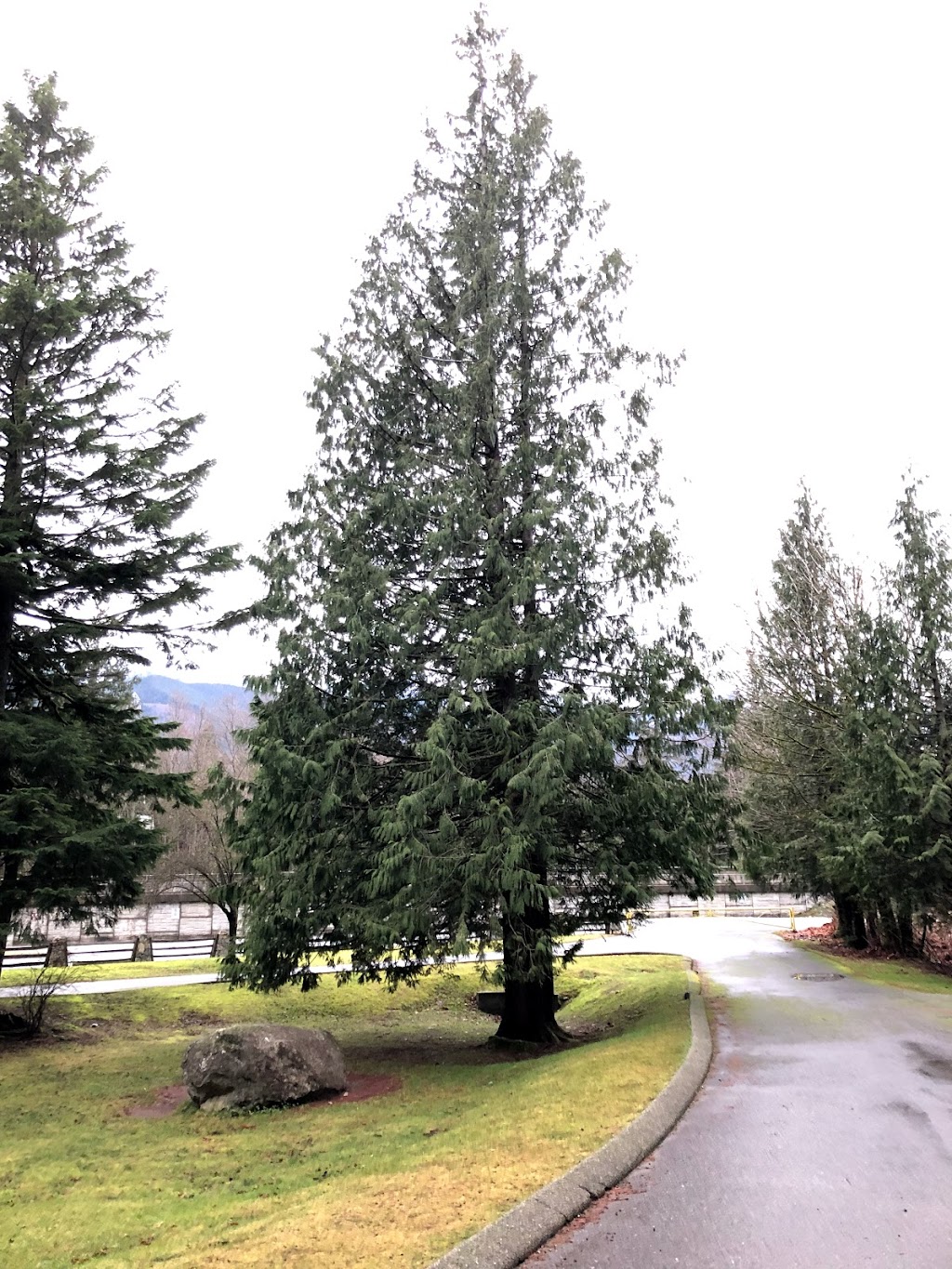 Shannon Falls Provincial Park | BC-97, Squamish-Lillooet D, BC V0N 1T0, Canada | Phone: (800) 689-9025