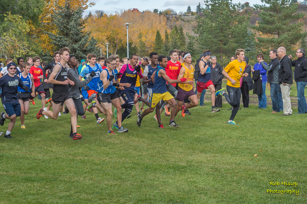 M. E. LaZerte School | 6804 144 Ave NW, Edmonton, AB T5C 3C7, Canada | Phone: (780) 408-9800