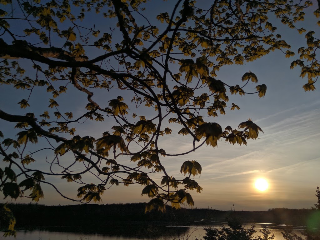 Caddell Rapids Lookoff Provincial Park | 1609 Riverside Rd, Riverside, NS B0N 2J0, Canada | Phone: (800) 565-0000