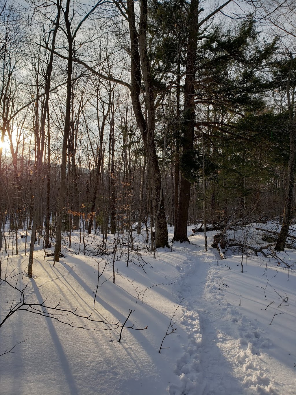 Sentier Mont Écho | Chemin de la Falaise, Sutton, QC J0E 2K0, Canada
