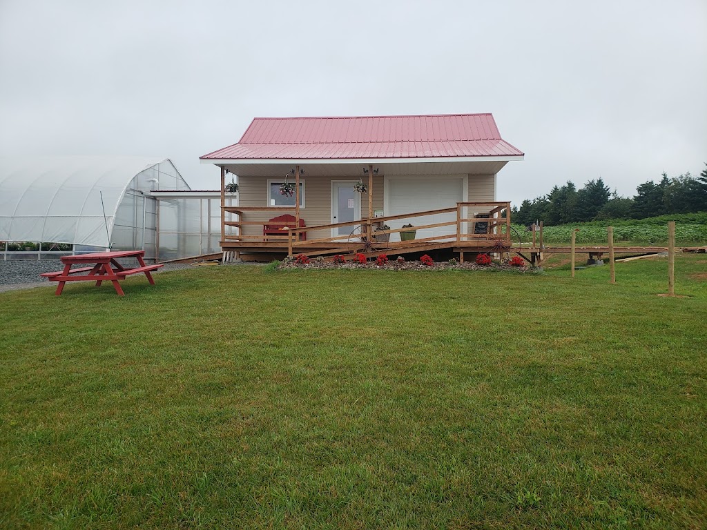 Fortune Bridge Farms & Tobys Farm Market | 1444 Veterans Memorial Hwy, Souris, PE C0A 2B0, Canada | Phone: (902) 215-0219