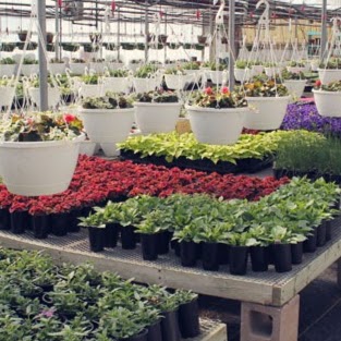 Atlantic Gardens | 1620 Sackville Dr, Middle Sackville, NS B4E 3A8, Canada | Phone: (902) 865-7195